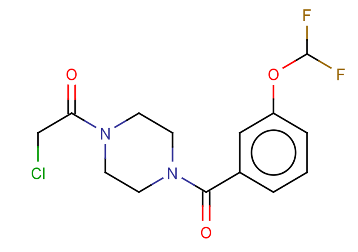 2-chloro-1-(4-{[3-(difluoromethoxy)phenyl]carbonyl}piperazin-1-yl)ethan-1-one