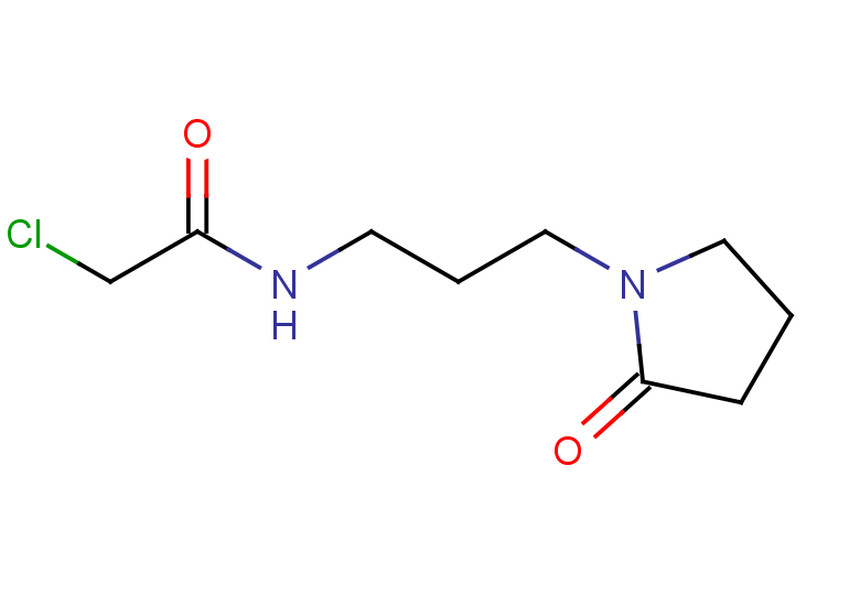2-chloro-N-[3-(2-oxopyrrolidin-1-yl)propyl]acetamide