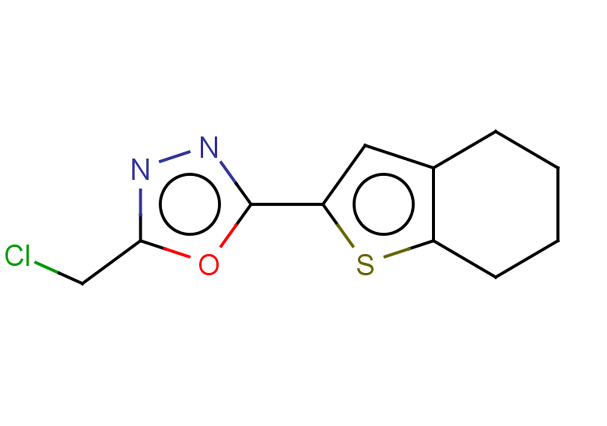 2-(chloromethyl)-5-(4,5,6,7-tetrahydro-1-benzothiophen-2-yl)-1,3,4-oxadiazole