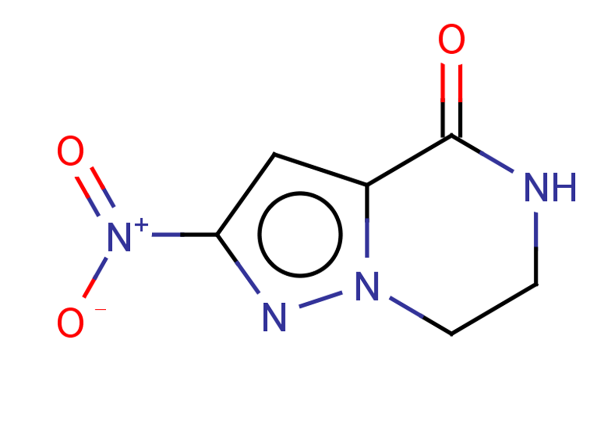 2-nitro-4H,5H,6H,7H-pyrazolo[1,5-a]pyrazin-4-one