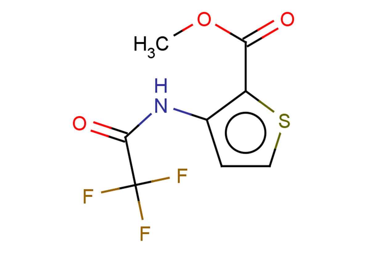 METHYL 3-(2,2,2-TRIFLUOROACETAMIDO)THIOPHENE-2-CARBOXYLATE