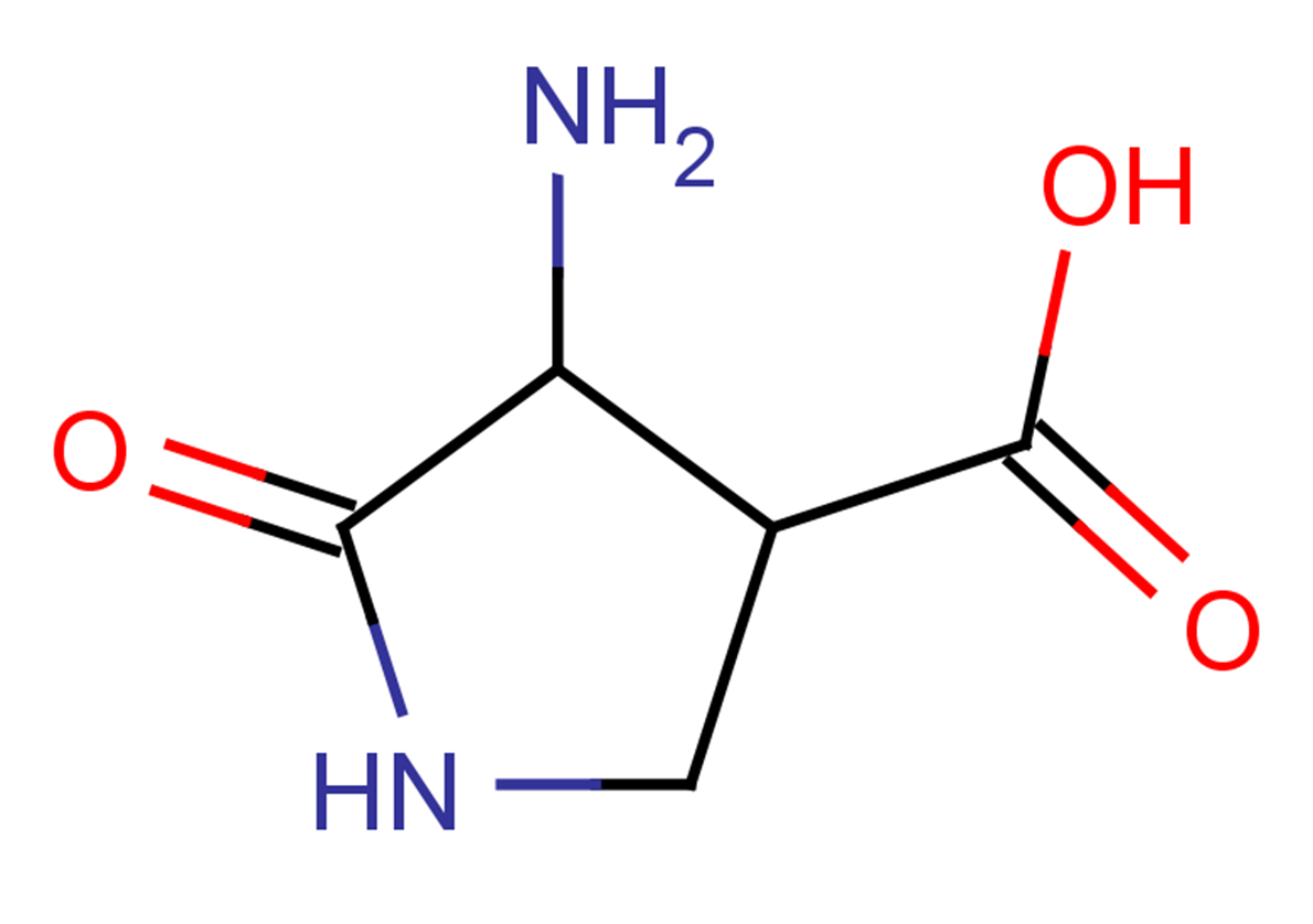 4-amino-5-oxopyrrolidine-3-carboxylic acid