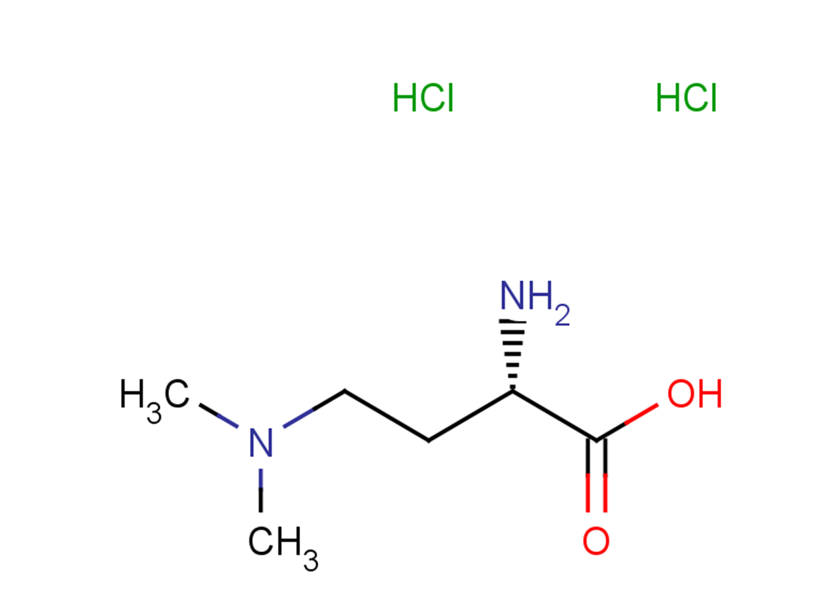 (2S)-2-amino-4-(dimethylamino)butanoic acid dihydrochloride