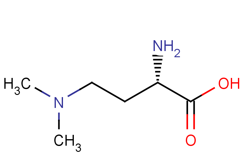 (2S)-2-amino-4-(dimethylamino)butanoic acid