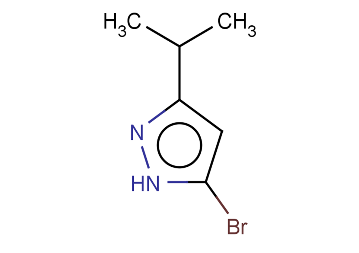 5-bromo-3-(propan-2-yl)-1H-pyrazole