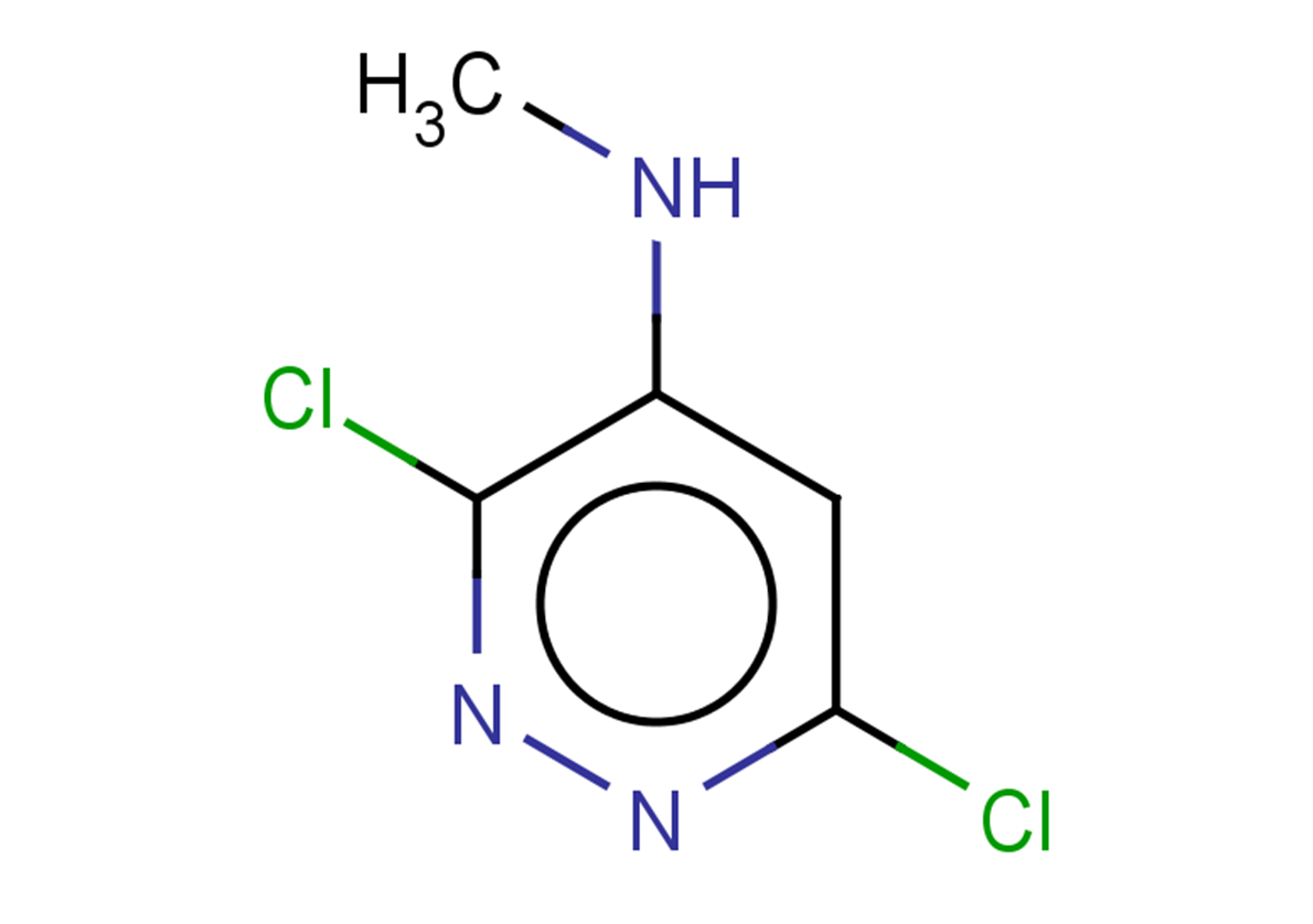 3,6-dichloro-N-methylpyridazin-4-amine
