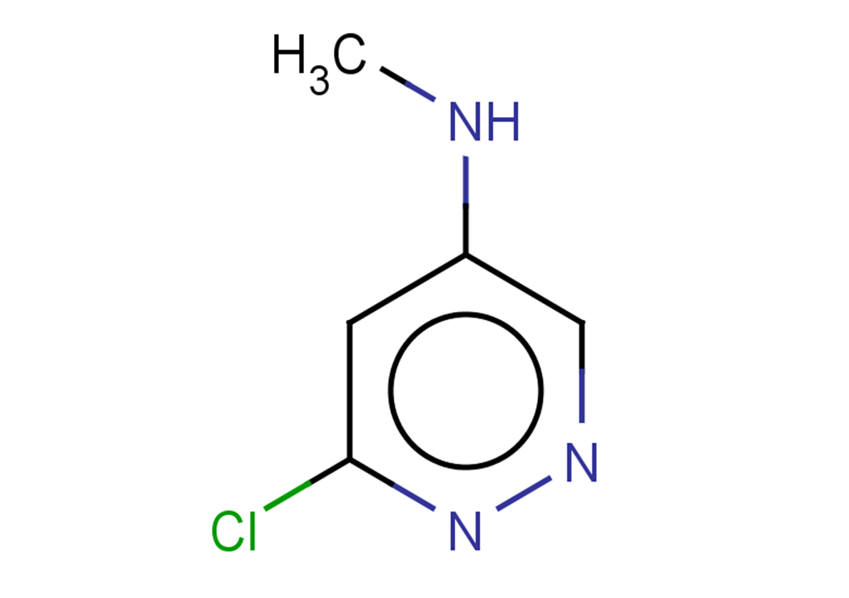 6-chloro-N-methylpyridazin-4-amine