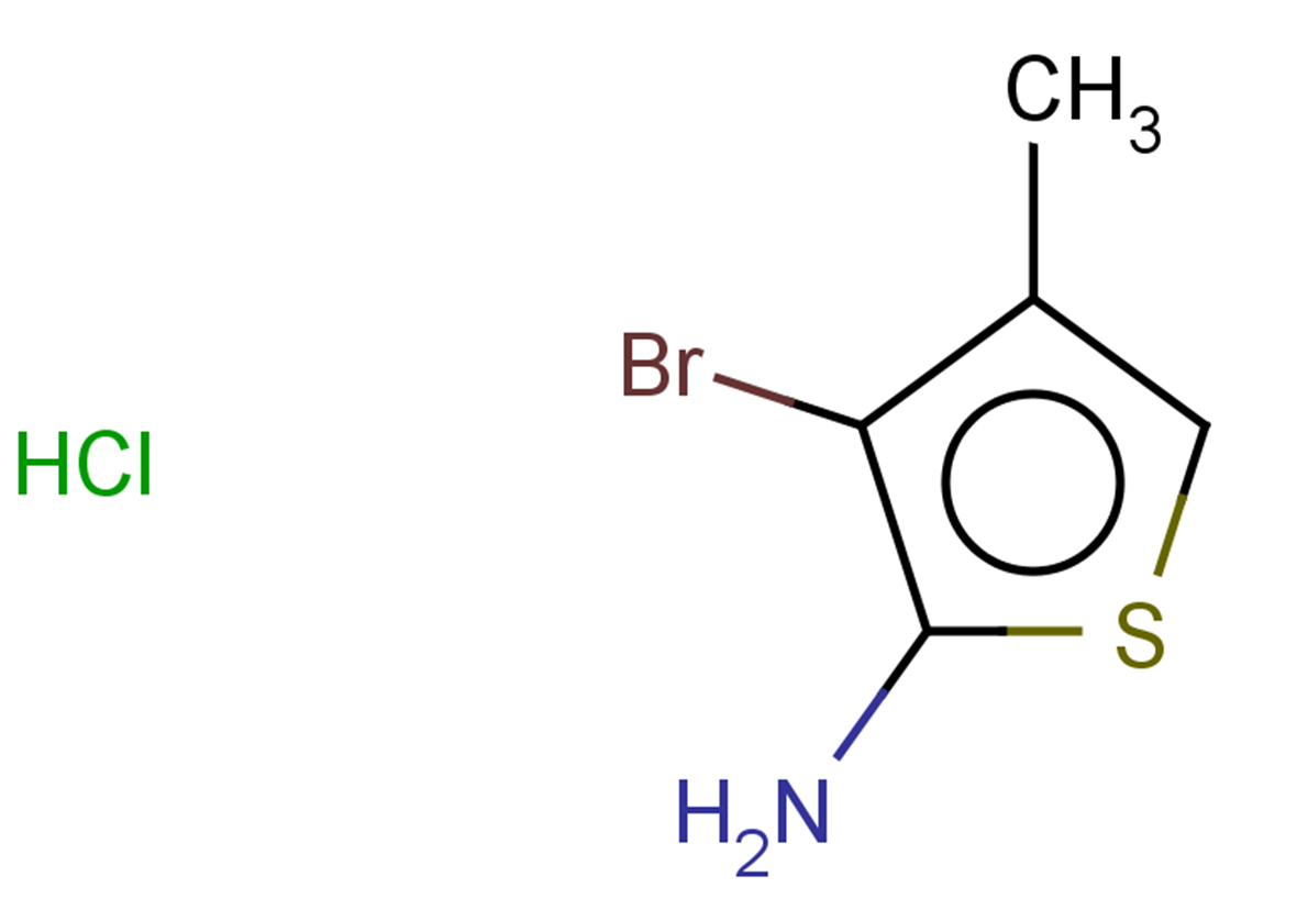 3-bromo-4-methylthiophen-2-amine hydrochloride