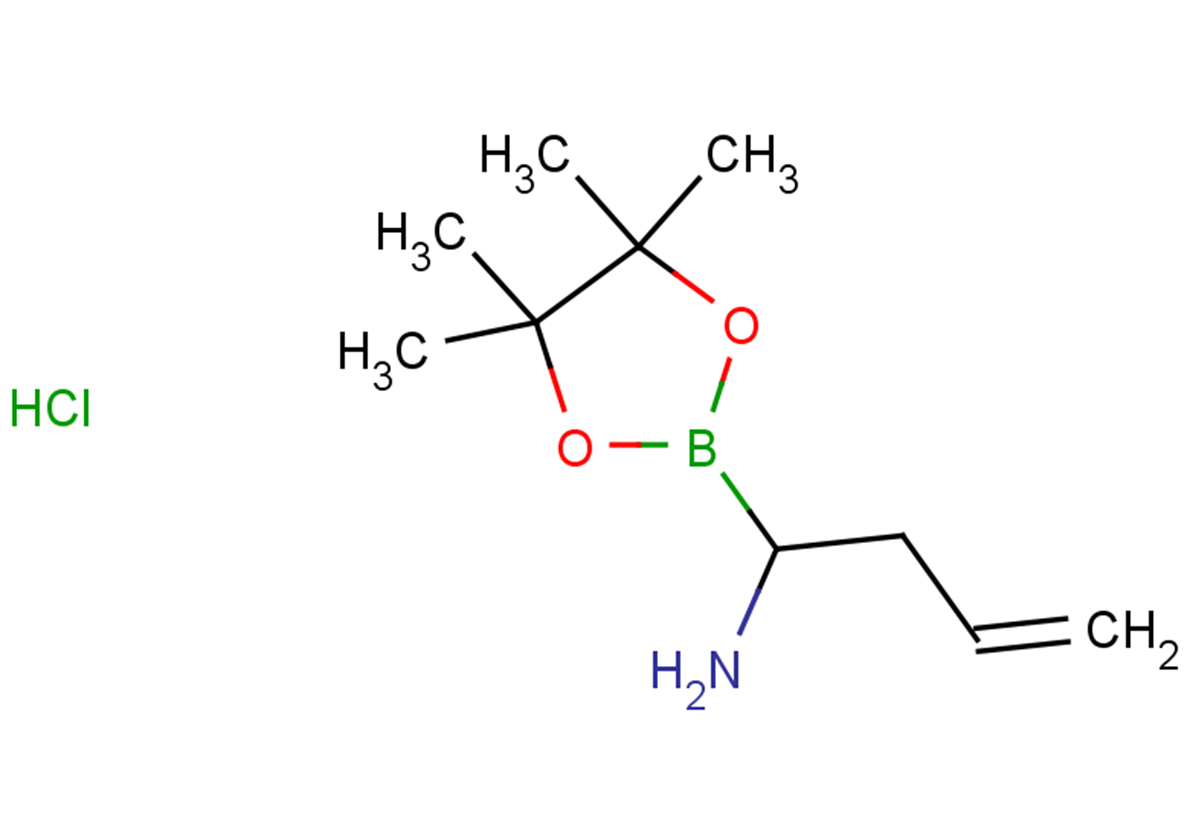 1-(tetramethyl-1,3,2-dioxaborolan-2-yl)but-3-en-1-amine hydrochloride
