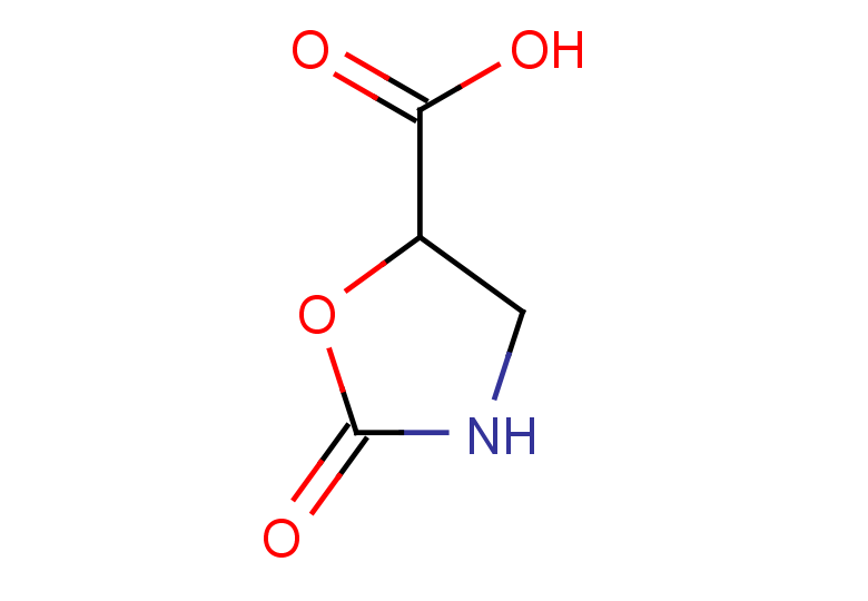2-oxo-1,3-oxazolidine-5-carboxylic acid