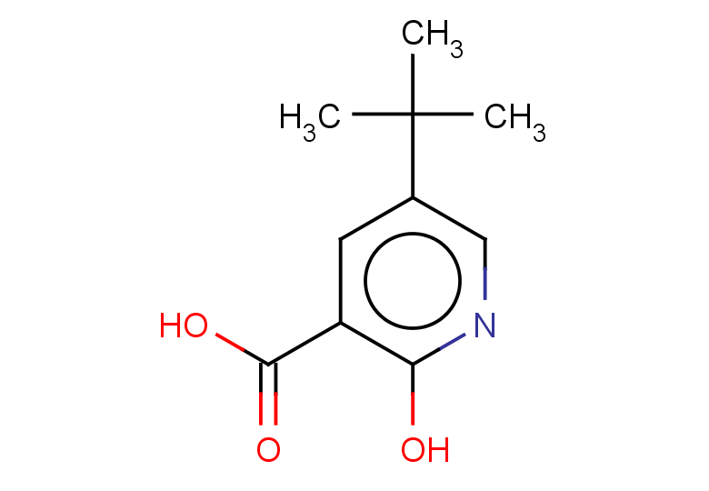 5-tert-butyl-2-hydroxypyridine-3-carboxylic acid