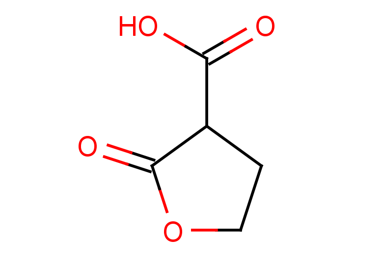 2-oxooxolane-3-carboxylic acid