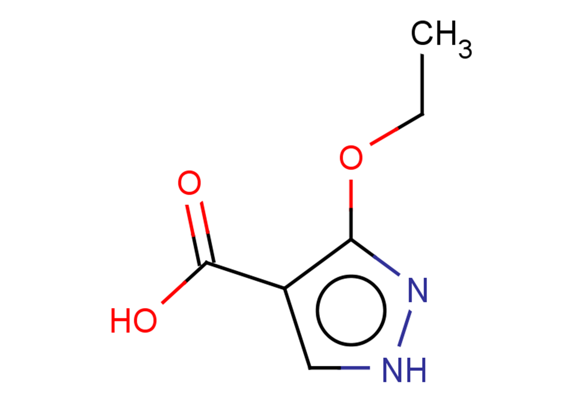 3-ethoxy-1H-pyrazole-4-carboxylic acid