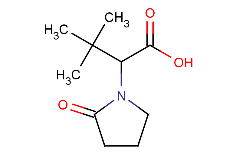 3,3-dimethyl-2-(2-oxopyrrolidin-1-yl)butanoic acid