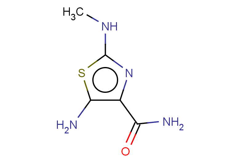 5-amino-2-(methylamino)-1,3-thiazole-4-carboxamide