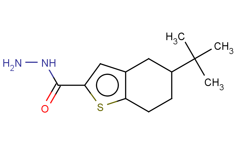 5-tert-butyl-4,5,6,7-tetrahydro-1-benzothiophene-2-carbohydrazide