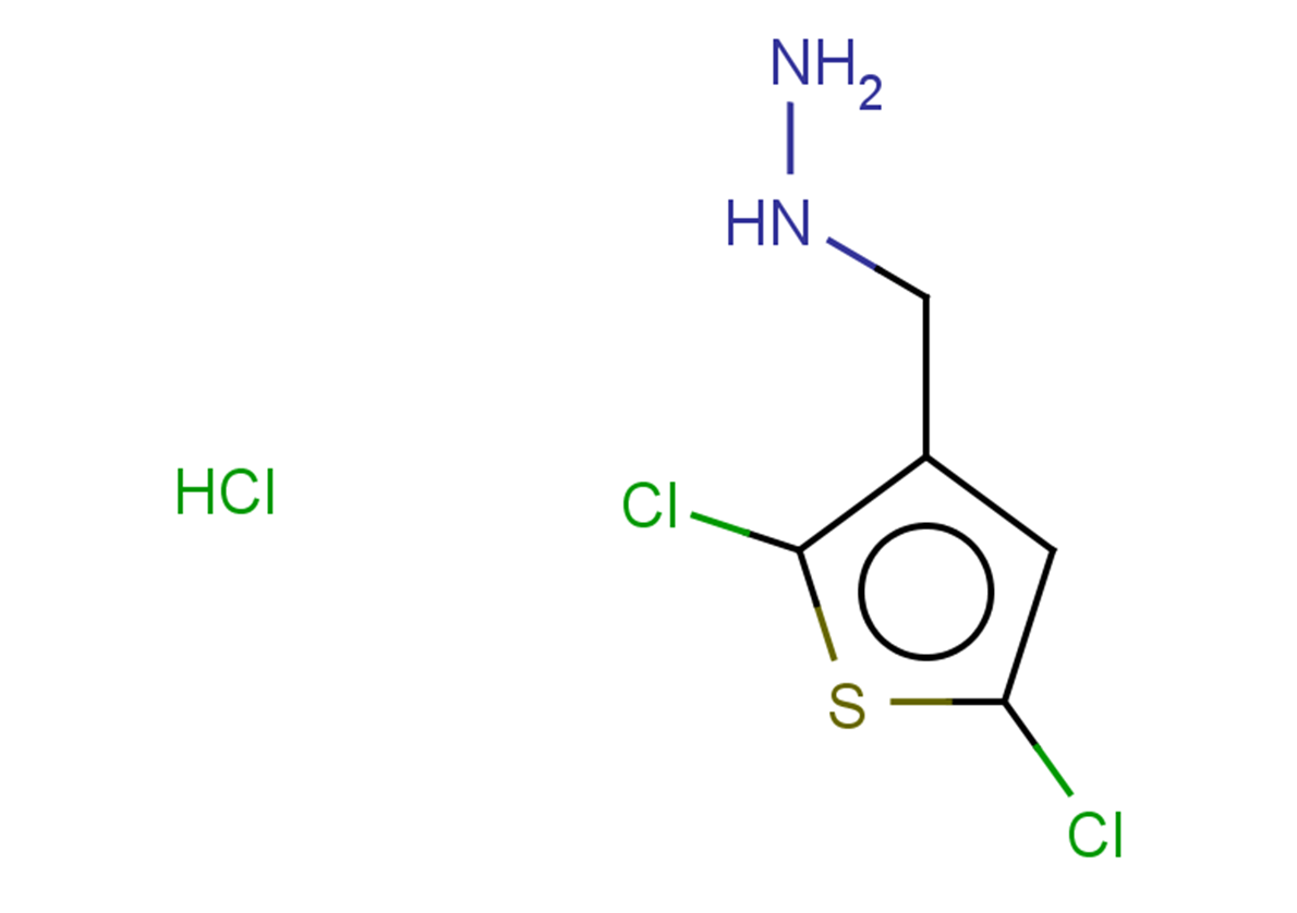 [(2,5-dichlorothiophen-3-yl)methyl]hydrazine hydrochloride