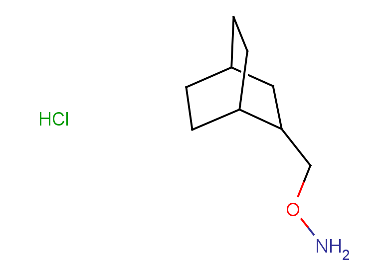 O-{bicyclo[2.2.2]octan-2-ylmethyl}hydroxylamine hydrochloride