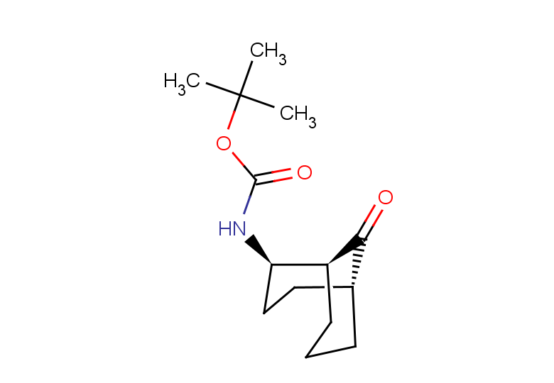 tert-butyl N-[(1S,2R,5R)-9-oxobicyclo[3.3.1]nonan-2-yl]carbamate