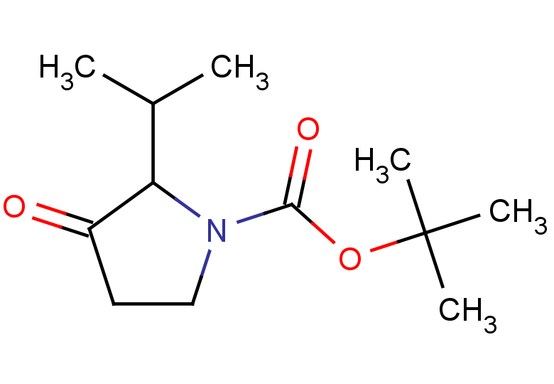 tert-butyl 3-oxo-2-(propan-2-yl)pyrrolidine-1-carboxylate