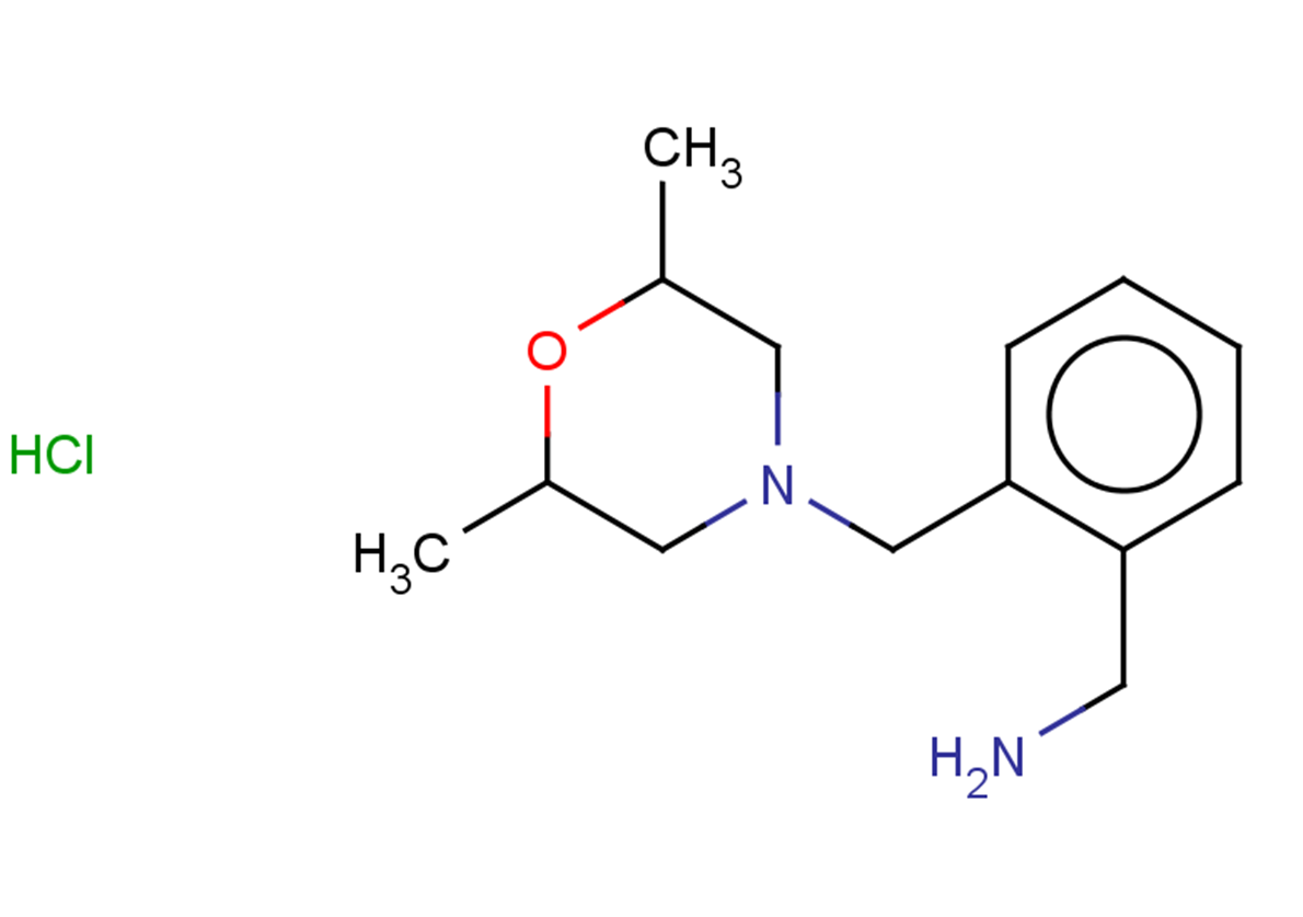 {2-[(2,6-dimethylmorpholin-4-yl)methyl]phenyl}methanamine hydrochloride