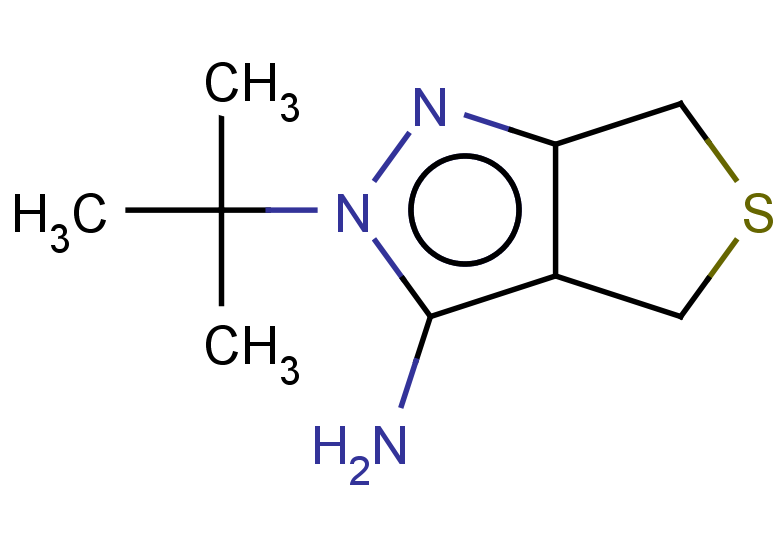 2-tert-butyl-2H,4H,6H-thieno[3,4-c]pyrazol-3-amine