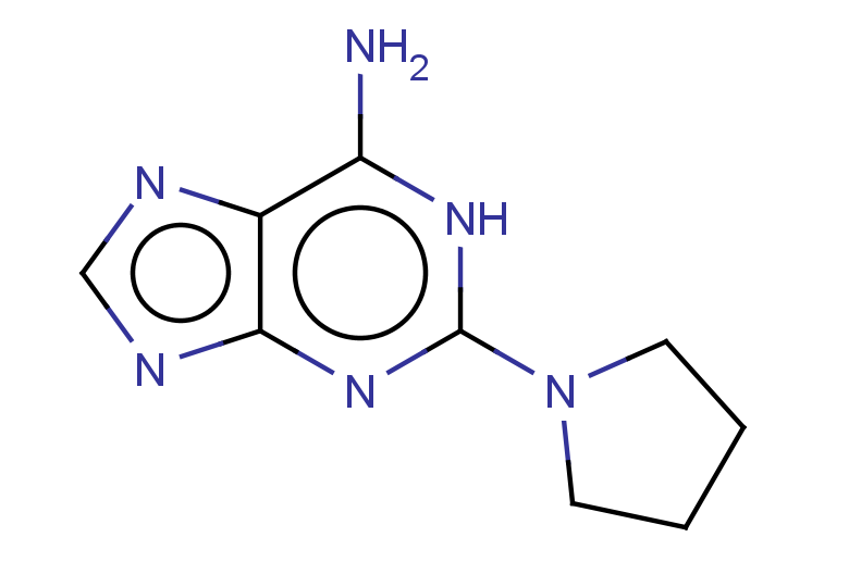 2-(pyrrolidin-1-yl)-1H-purin-6-amine
