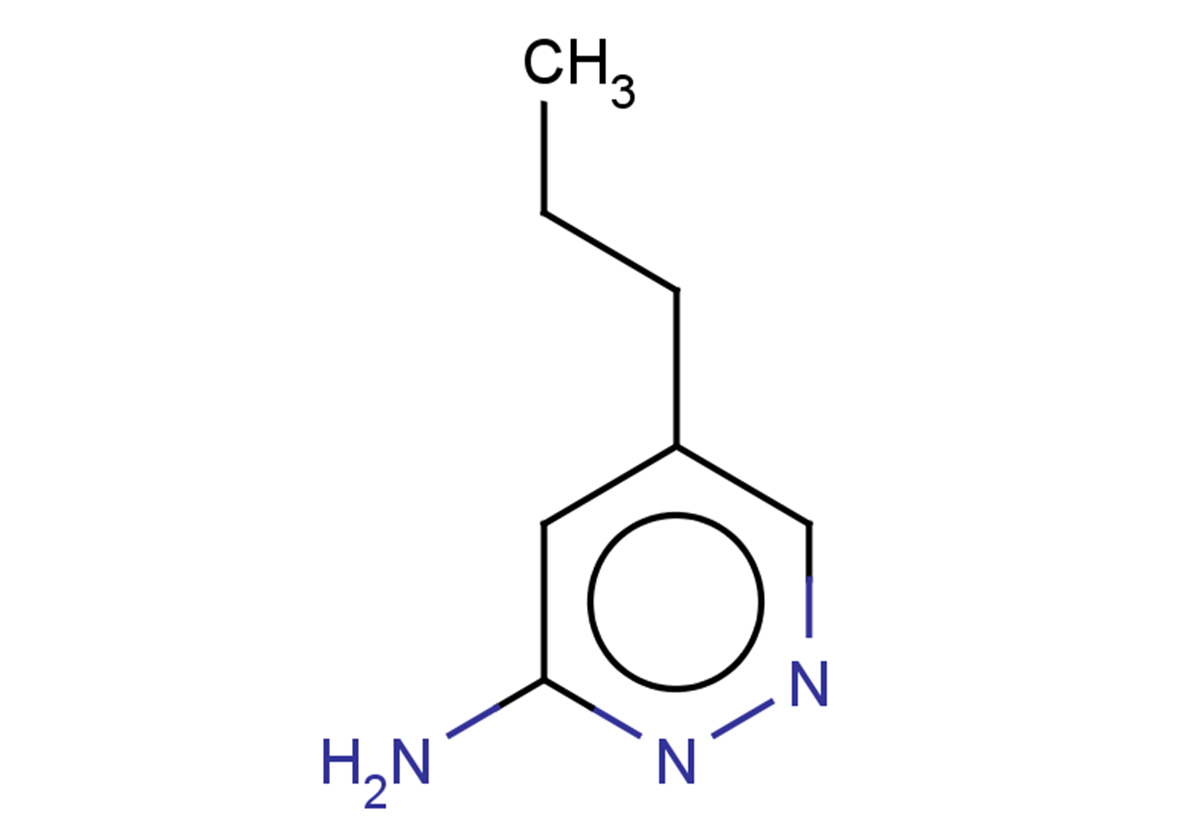 5-propylpyridazin-3-amine