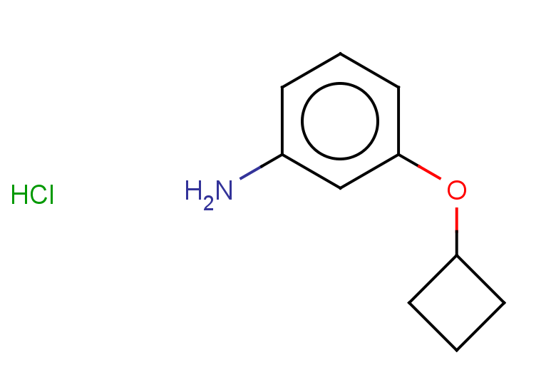 3-cyclobutoxyaniline hydrochloride