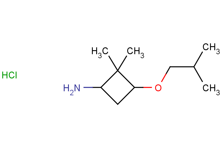 2,2-dimethyl-3-(2-methylpropoxy)cyclobutan-1-amine hydrochloride