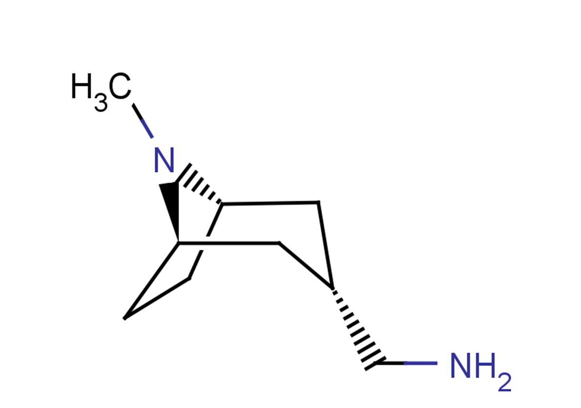1-[(1R,3S,5S)-8-methyl-8-azabicyclo[3.2.1]octan-3-yl]methanamine, exo