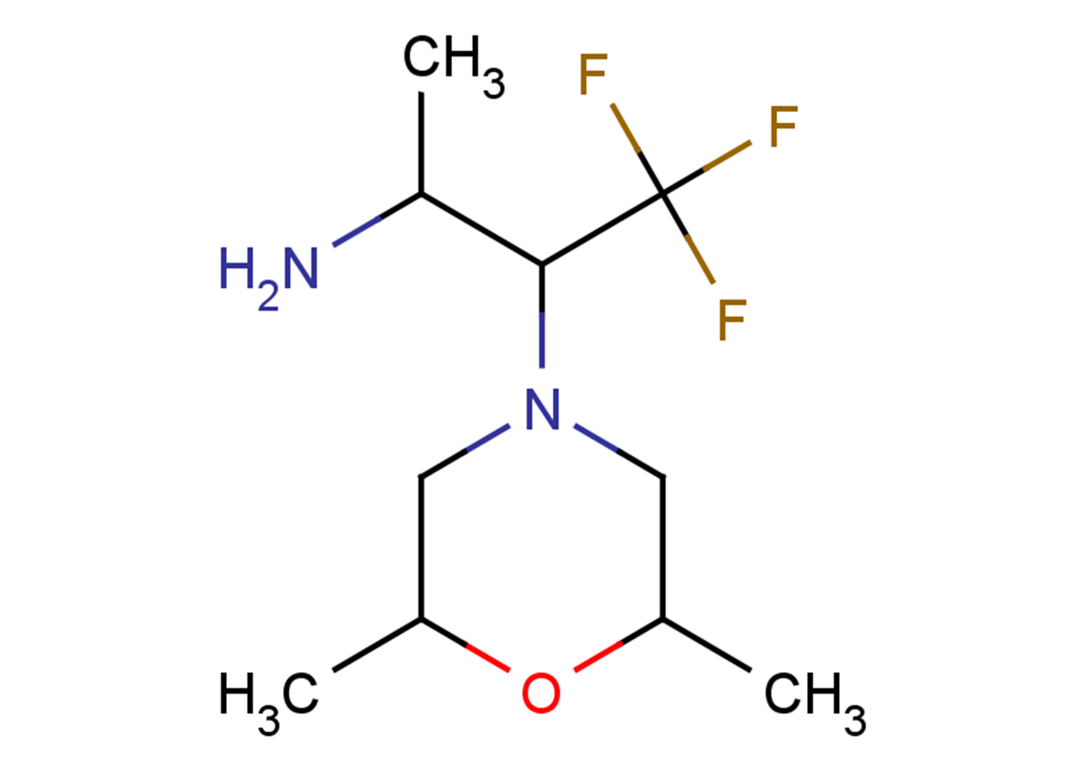 3-(2,6-dimethylmorpholin-4-yl)-4,4,4-trifluorobutan-2-amine