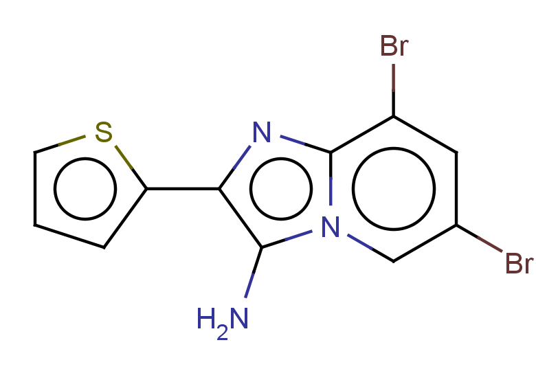 6,8-dibromo-2-(thiophen-2-yl)imidazo[1,2-a]pyridin-3-amine