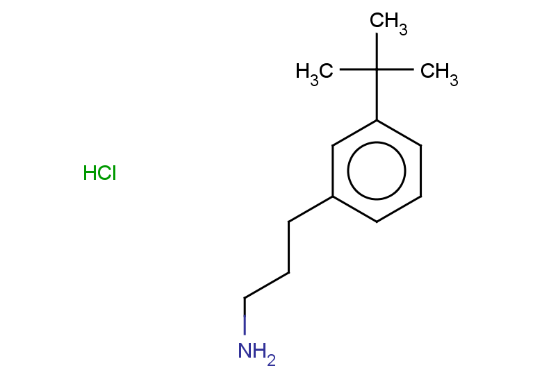 3-(3-tert-butylphenyl)propan-1-amine hydrochloride