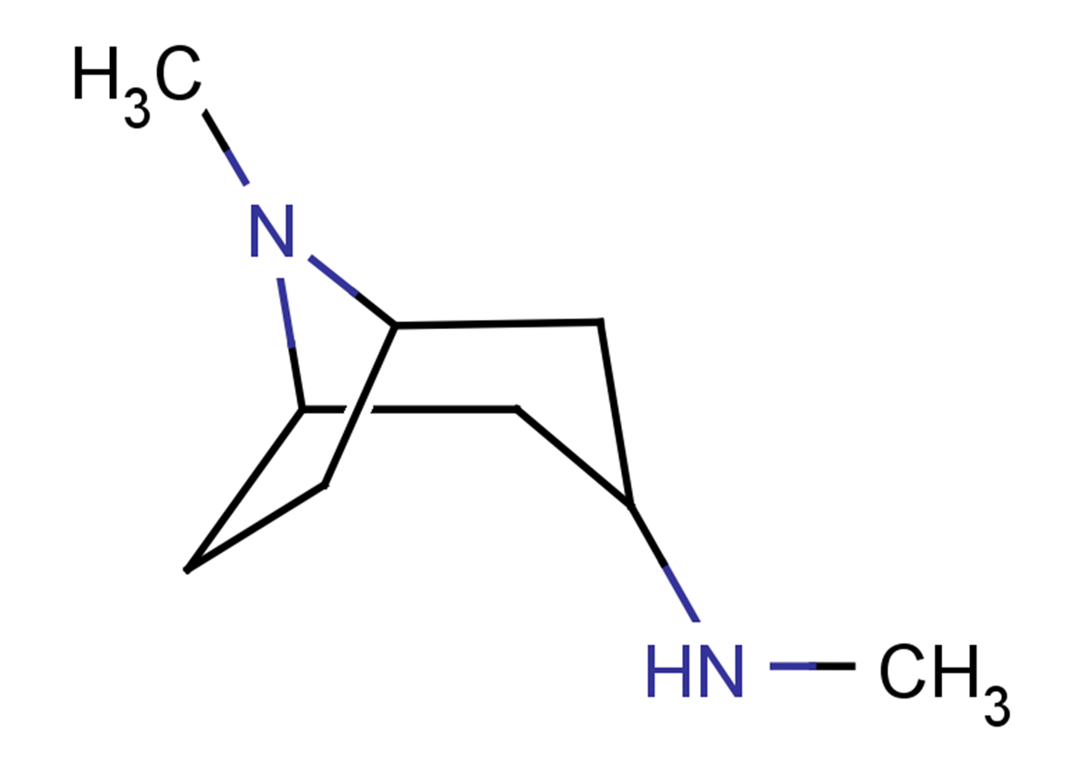 N,8-dimethyl-8-azabicyclo[3.2.1]octan-3-amine