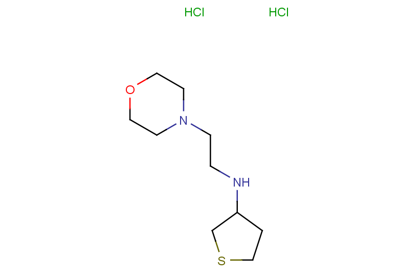 N-[2-(morpholin-4-yl)ethyl]thiolan-3-amine dihydrochloride