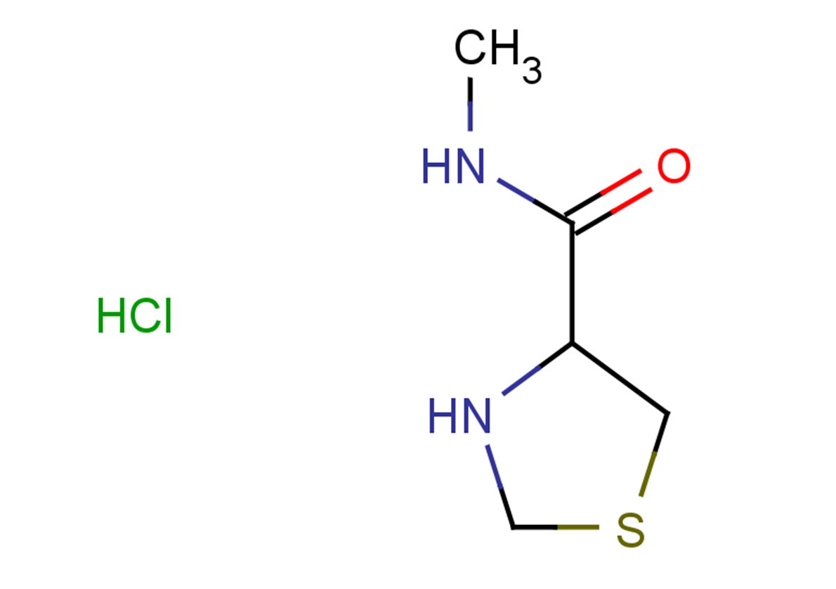 N-methyl-1,3-thiazolidine-4-carboxamide hydrochloride