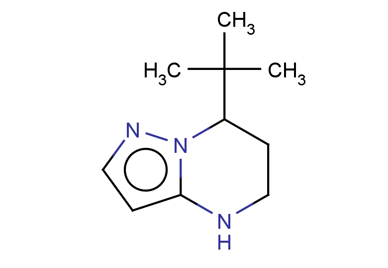 7-tert-butyl-4H,5H,6H,7H-pyrazolo[1,5-a]pyrimidine