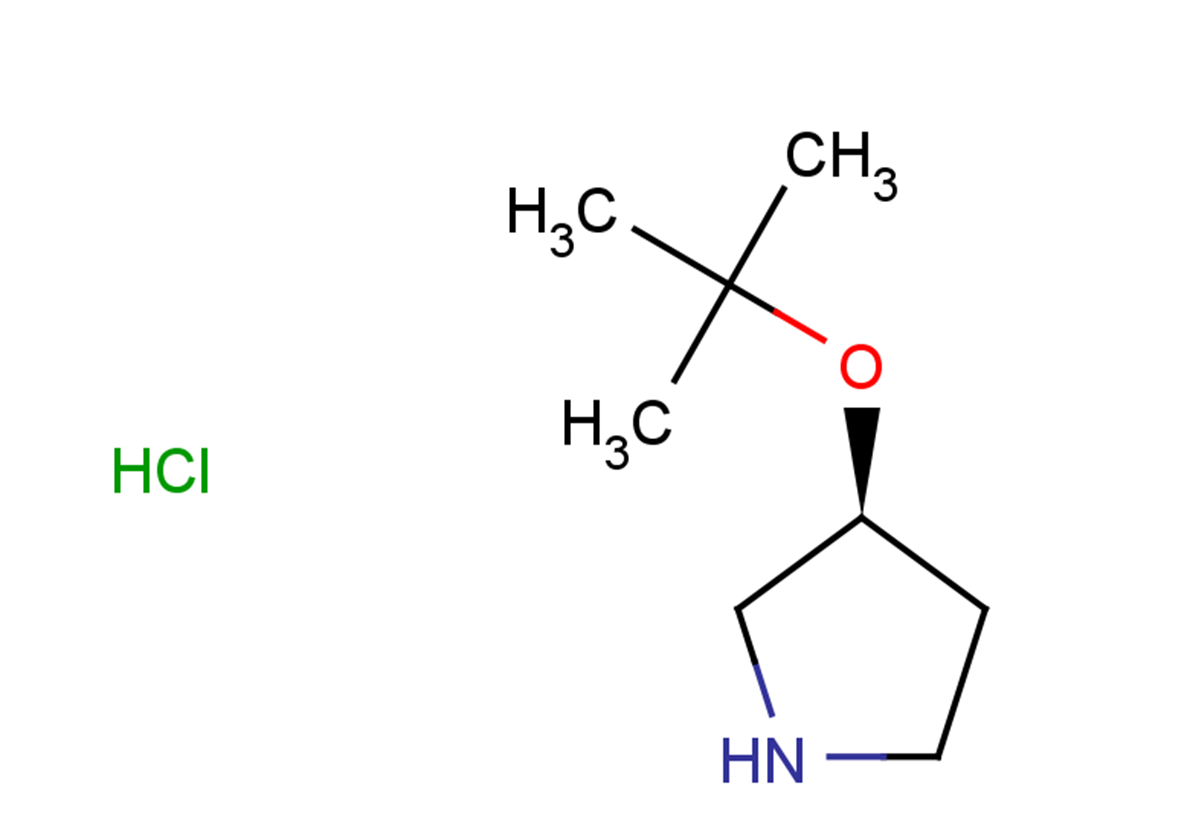 (3S)-3-(tert-butoxy)pyrrolidine hydrochloride