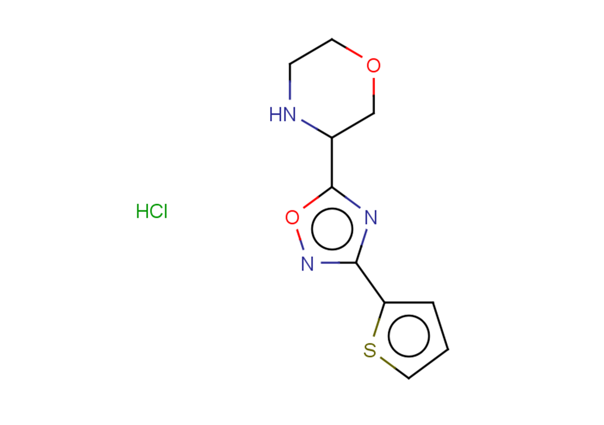 3-[3-(thiophen-2-yl)-1,2,4-oxadiazol-5-yl]morpholine hydrochloride