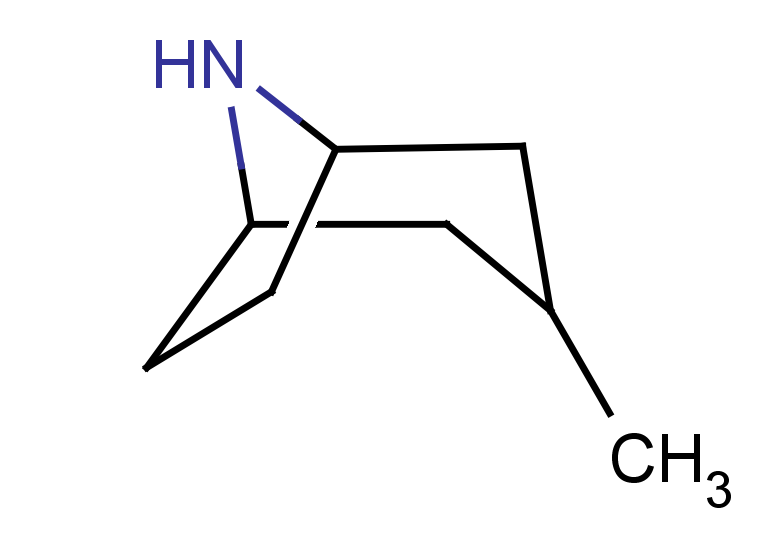 3-methyl-8-azabicyclo[3.2.1]octane, Mixture of diastereomers