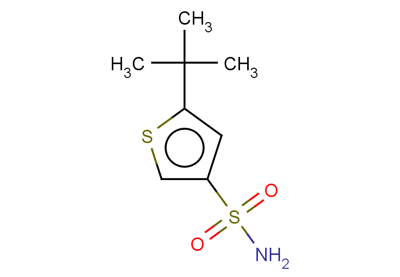 5-tert-butylthiophene-3-sulfonamide