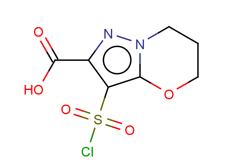 3-(chlorosulfonyl)-5H,6H,7H-pyrazolo[3,2-b][1,3]oxazine-2-carboxylic acid