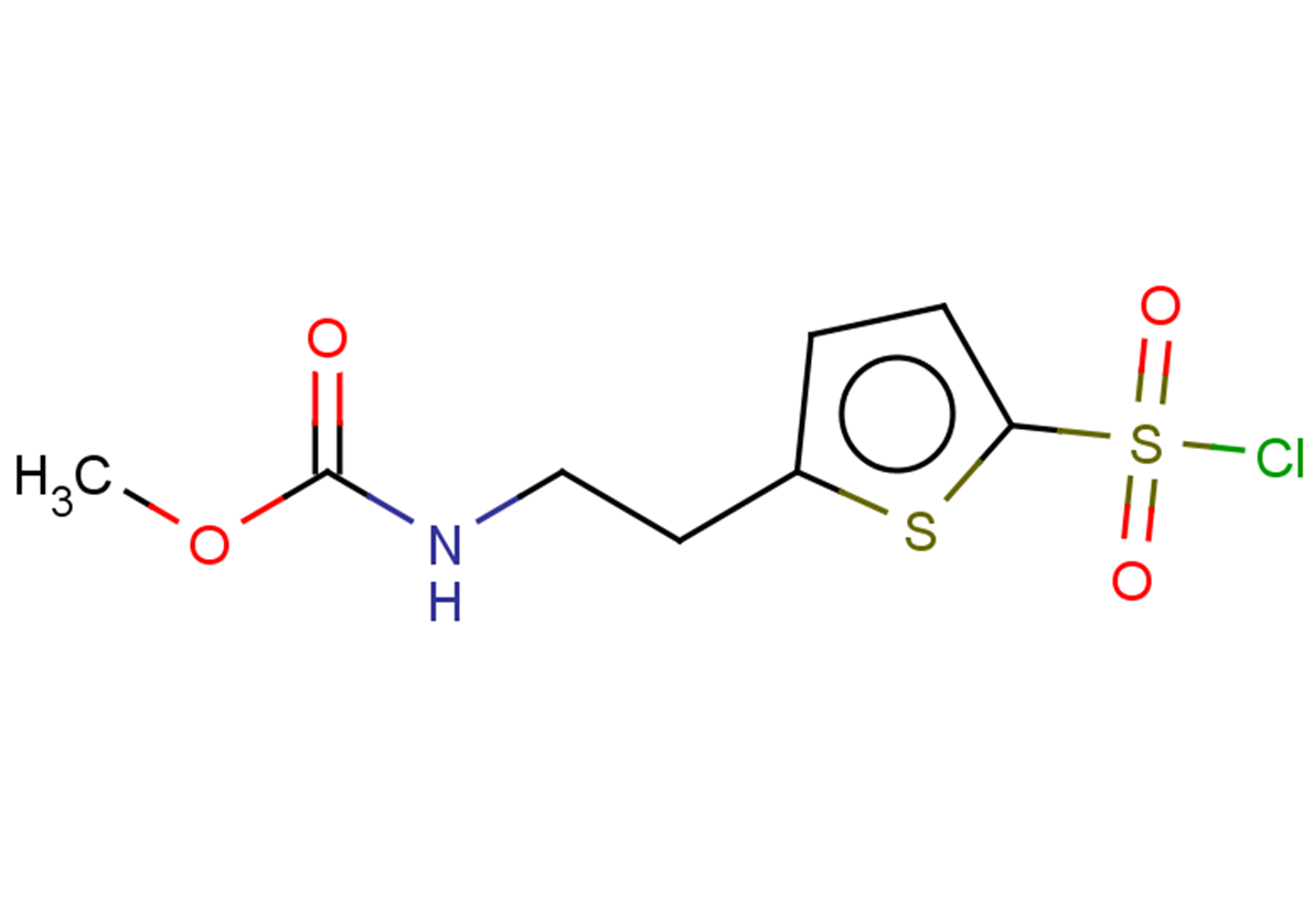 methyl N-{2-[5-(chlorosulfonyl)thiophen-2-yl]ethyl}carbamate