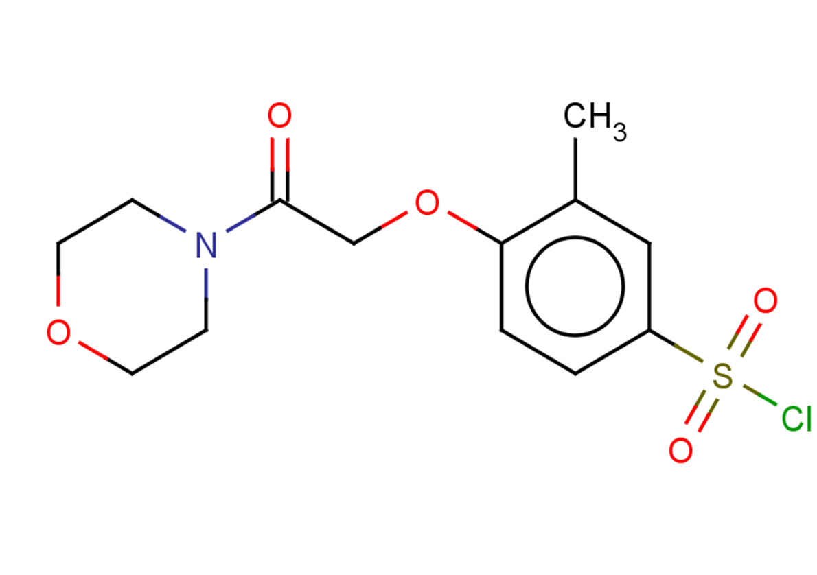 3-methyl-4-[2-(morpholin-4-yl)-2-oxoethoxy]benzene-1-sulfonyl chloride