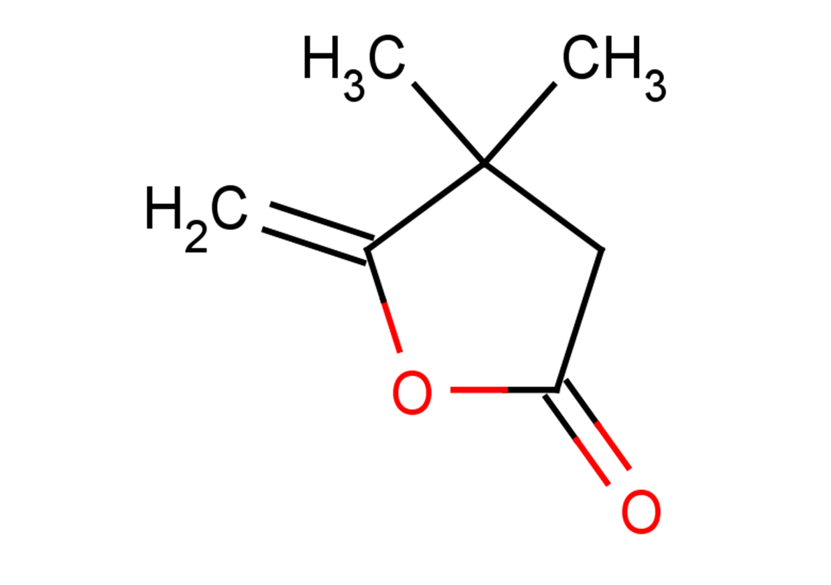 4,4-dimethyl-5-methylideneoxolan-2-one