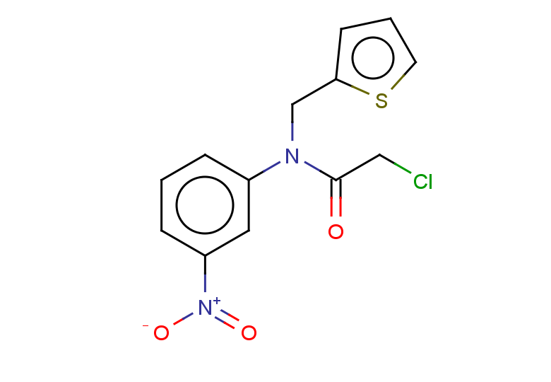 2-chloro-N-(3-nitrophenyl)-N-(thiophen-2-ylmethyl)acetamide