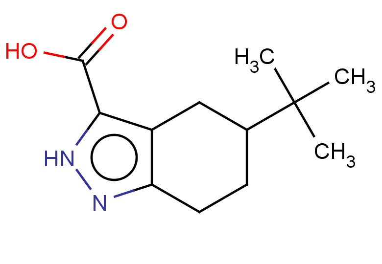 5-tert-butyl-4,5,6,7-tetrahydro-2H-indazole-3-carboxylic acid
