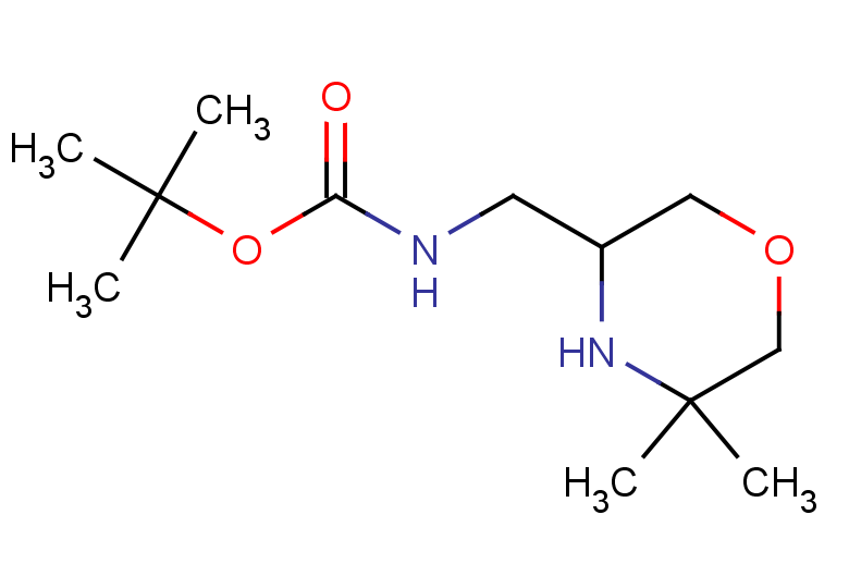 tert-butyl N-[(5,5-dimethylmorpholin-3-yl)methyl]carbamate