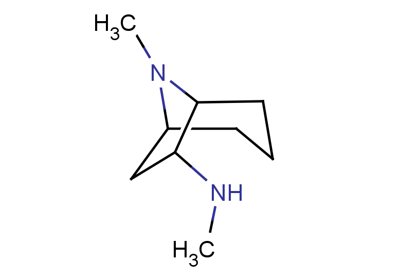 N,8-dimethyl-8-azabicyclo[3.2.1]octan-6-amine